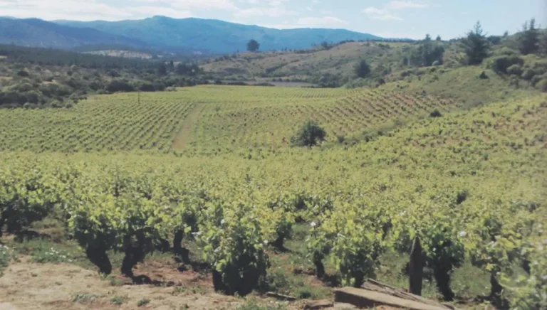 penco-rural